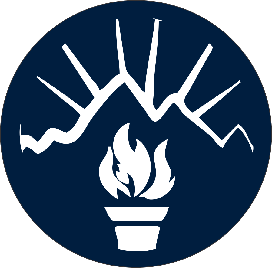 Logotipo oficial Héroes de la Breña